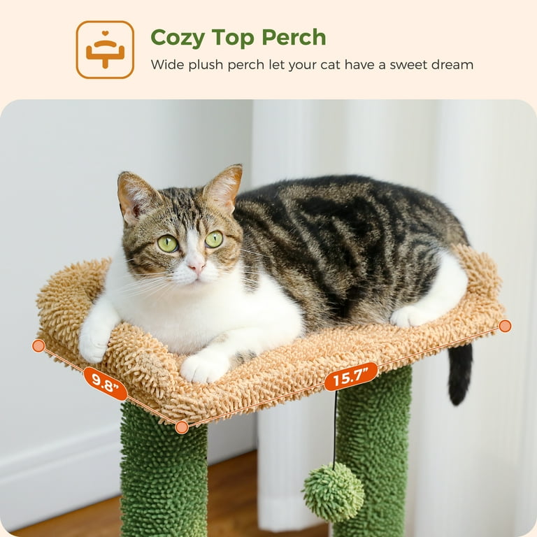 Cactus cat scratcher diy hot sale