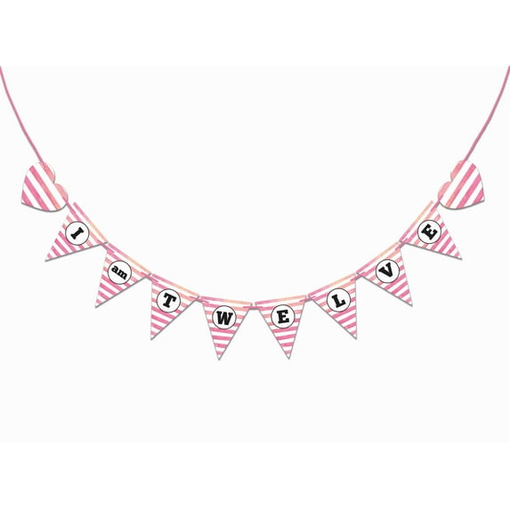 Inkdotpot I Am TwelvePre StrungParty Supplies For BoyPaper Banner Polka DotBirthday Confetti Birthday Streamers