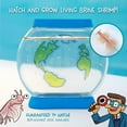 thumbnail image 2 of Juguete Aquarium Hatch & Raise Real Brine Shrimp STEM para 6 o más niños, 2 of 6