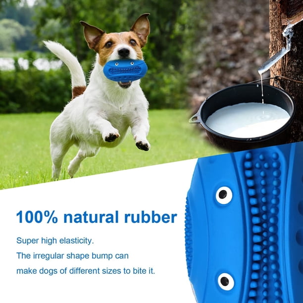 Juguete masticable para perros con sabor a leche para masticadores agresivos en forma de cabeza de cocodrilo de goma resistente y duradera para perros de raza mediana y grande (azul) XianweiShao 8390613959102