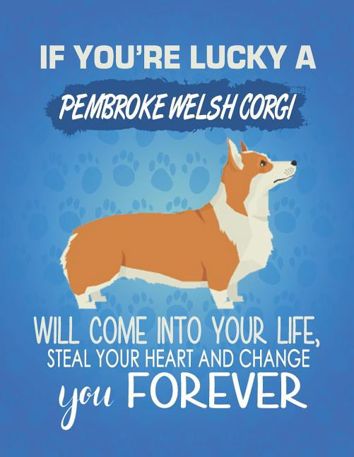 WELSH CORGI Property Laws Magnet Personalized With Your Dog's Name 
