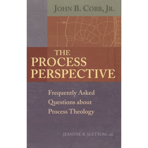 The Process Perspective (Hardcover)