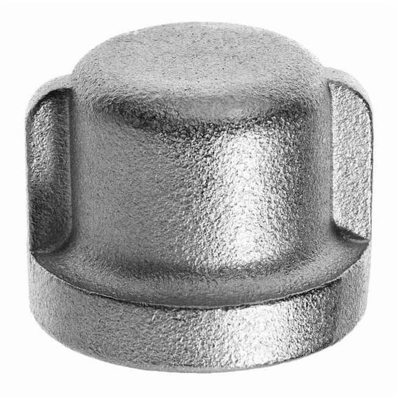 Pipe Fitting - 304 Stainless Steel - Class 150 - Cap - 1/4" BSPT Female