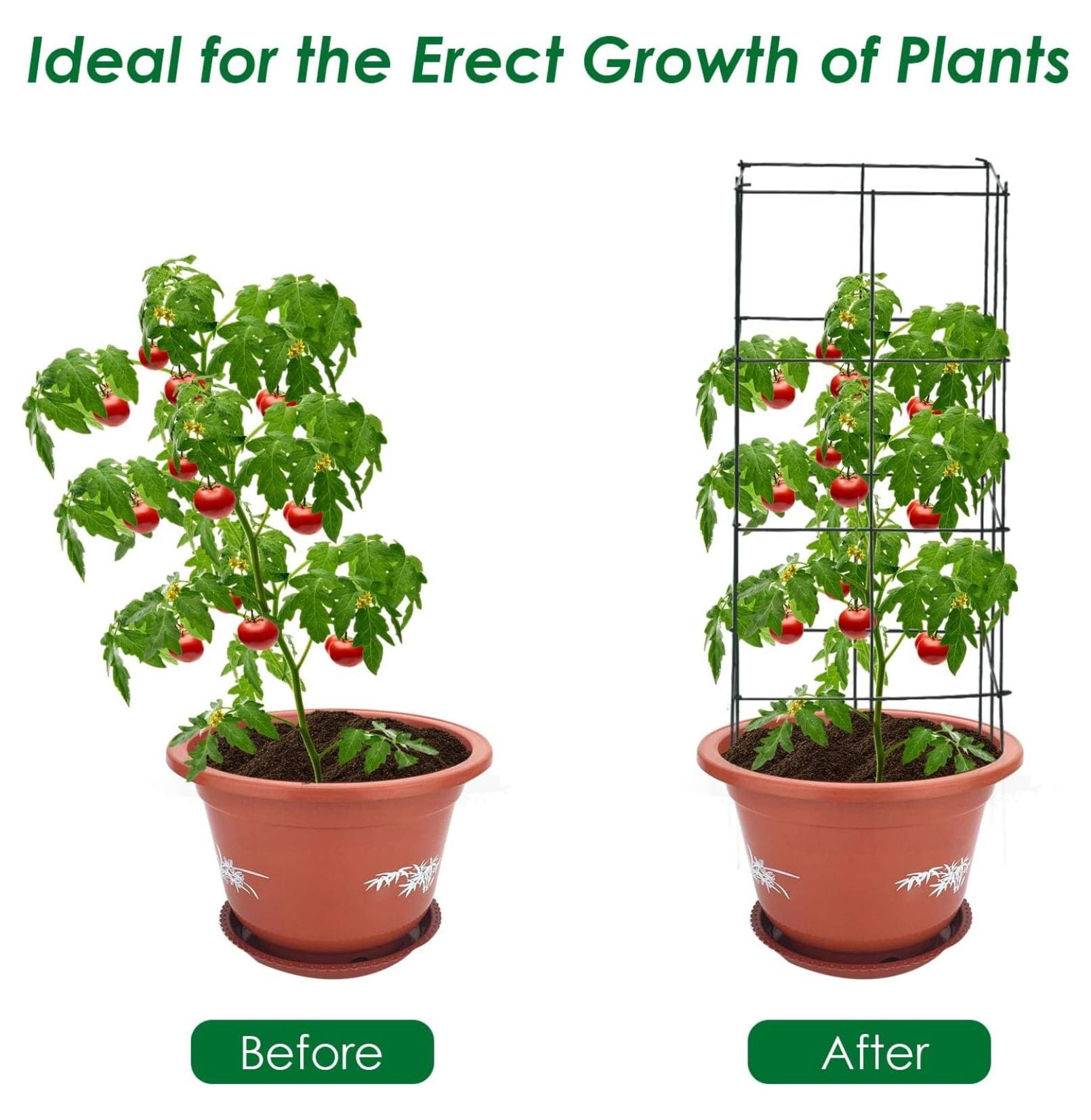 4 Pack Folding Tomato Cages, 39 Inches Tall Square Plant Support Cage for Garden Climbing Plants Flowers Fruits, Heavy Duty Tomato Vegetable Trellis