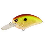 Crankbait SPRO Little John MD 50 | Esche Da Pesca Freshwater | Scegli Il Tuo Colore!