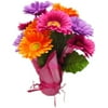 Easter Decor Potted Pink/Orange/Purple Daisy