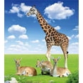 thumbnail image 3 of Ambesonne Giraffe Duvet Cover Set, Zoo Animals, 2-Calking, White Blue Brown, 3 of 7