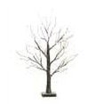 thumbnail image 1 of Árbol de abedul iluminado Fairy Spirit 24 LED lámpara de mesa con luz de árbol (negro), 1 of 6