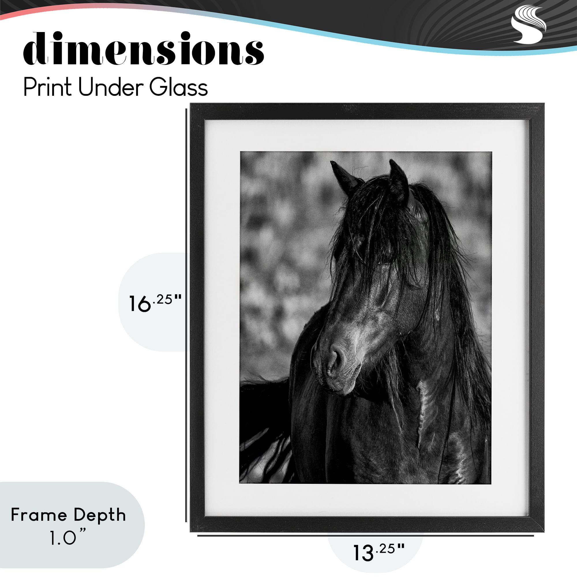 Stupell Industries Beauty In Black Black Framed Print Under Glass, design by Tim West