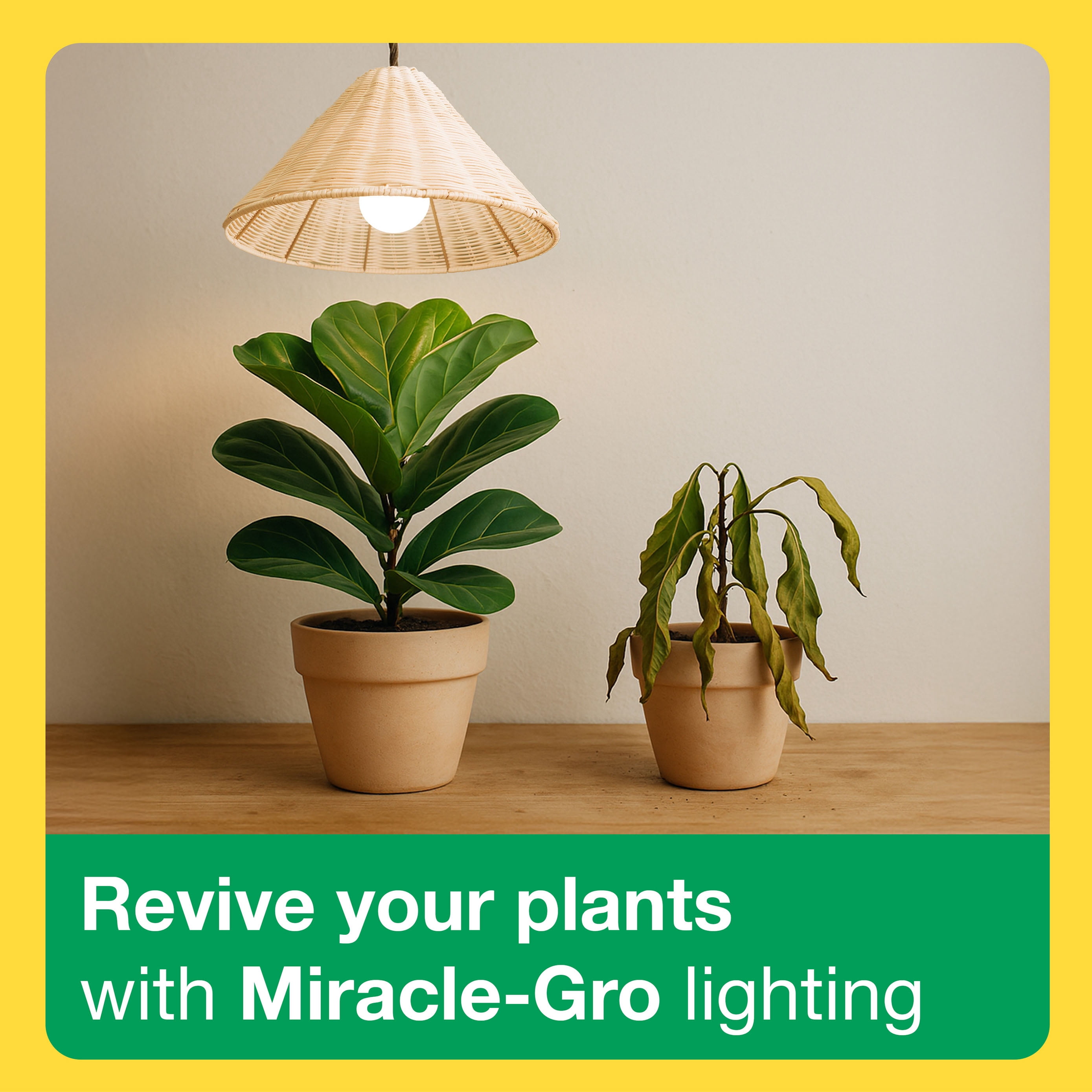Miracle-Gro A19 10W Grow Bulb