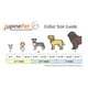 thumbnail image 5 of Collar para perro LupinePet impermeable BioThane, naranja neón, 2 cm, 5 of 6