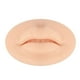 thumbnail image 1 of Qarigey Labios de boca abierta desnudos, piel de práctica 3D, plantilla de labios de doble cara, ceja, pestañas, colorante, Microblading, Suministros de tatuaje, 1 of 6