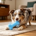 thumbnail image 4 of Dog Chew Toy Puppy Chew Toys Interactive Dog Toys Dog Birthday Toys Rubber Dog Chew Toys Squeaky Dog Chew Toys Heavy Duty Dog Chew Toys Dog Toys for Boredom,, 4 of 8