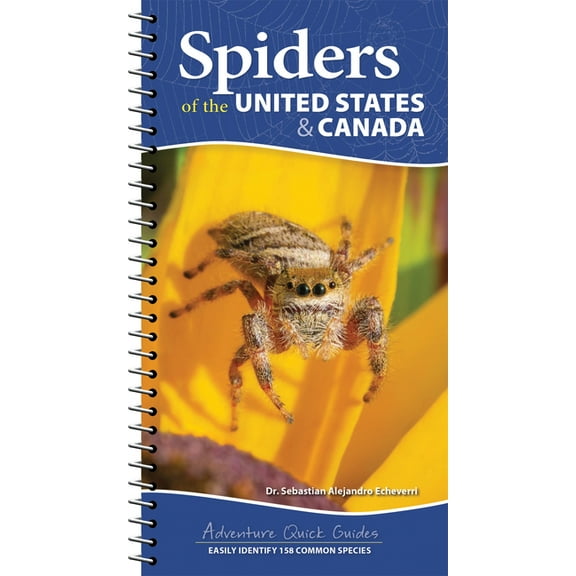 Adventure Quick Guides Spiders of the United States & Canada: Easily Identify 158 Common Species, (Spiral-Bound)