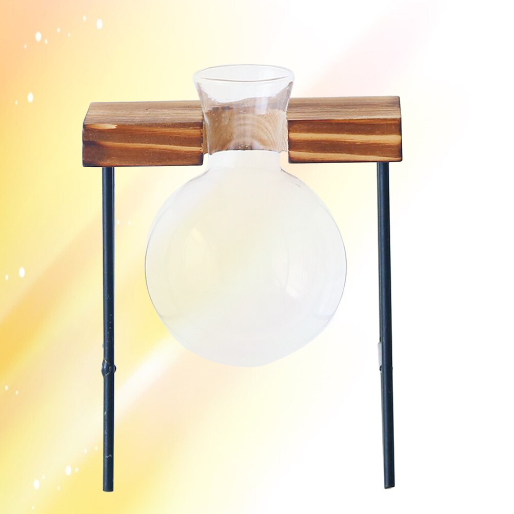 Glass Planter Bulb Vase Round Glass Plant Pots Flower Plant Container