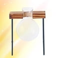 thumbnail image 4 of Miangastore Glass Planter Bulb Vase Round Glass Plant Pots Flower Plant Container Creative Hydroponic Plants Transparent Vases for Home Decor(1 Terrarium), 4 of 8
