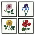 thumbnail image 2 of Stupell Indtries Bold Florals Blossoming Poppy Iris Dahlia Spring Flowers,12 x 12,Design by Nan, 2 of 5