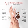 thumbnail image 2 of Kit 3 Cremas Para Manos Aroma Madreselva B Life | 80 ml c/u | Con Vitamina E y Niacinamida., 2 of 7