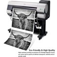 thumbnail image 6 of HFDF Large Highland Cow Canvas Wall Art Black and White Pictures Cute Long-Haired Cattle Posters Prints Modern Painting Longhorn Decor Living Room Decoration 14x11inch Framed, 6 of 7