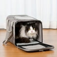 thumbnail image 5 of DENZUS Large Cat Carrier , Pet Carriers for Cat and Dog up to 25lbs, All-Sided Large Mesh Cat Carrier with Great Ventilation, Portable for Traveling, 5 of 8
