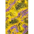thumbnail image 2 of Shimlock, Jones 13x18 White Modern Wood Framed Museum Art Print Titled - Colorful sponge, Raja Ampat, Indonesia, 2 of 4