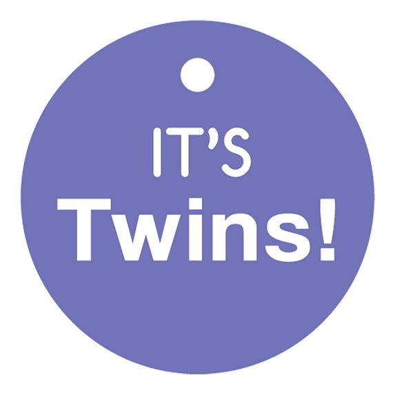 100 PCS Baby Shower Favor Gift Paper Tags It's Twins Cricle Baby Shower Hang Tags