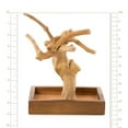 thumbnail image 4 of Prevue Pet Products Coffeawood Java Tree Minis X-Small Table Top Playstand 22632, 4 of 4