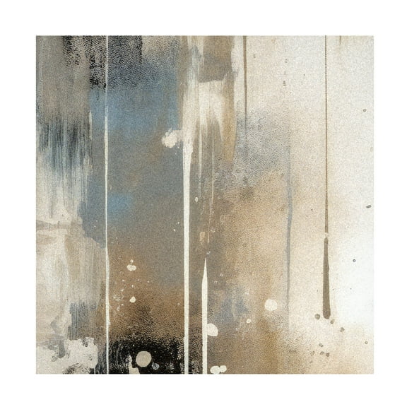 Trademark Fine Art Emel Tunaboylu  Kesit Canvas Wall Art