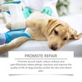 thumbnail image 5 of ZORVEX Natural Dog Wound Care Spray Herbal Healing Formula for Fast Recovery, Itch Relief & Skin Protection, 100ml, 5 of 5