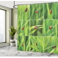 thumbnail image 5 of Ambesonne Nature Shower Curtain, Ladybug over Fresh Grass, 69"Wx84"L, Green Red, 5 of 5