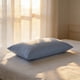 thumbnail image 5 of Fundas de almohada estándar de microfibra de 2, sensación suave de terciopelo, absorbente de humedad, resistente a arrugas, fundas antideslizantes para pelo y piel, tamaño estándar de 20x30 pulgadas, 5 of 6