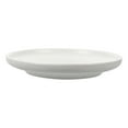 Axio Shallow Ceramic Cat Dish Feeding Bowl Food Water Dish Non Spill