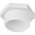 thumbnail image 3 of Charlotte Pipe PVC 02113  1400HA Schedule 40 Pipe Plug, White, 1-1/2 In. MPT - Quantity 25, 3 of 3