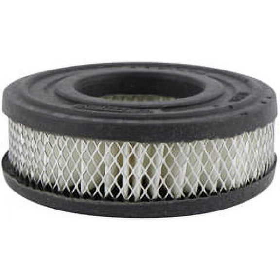 Air Breather Element Baldwin PA1909