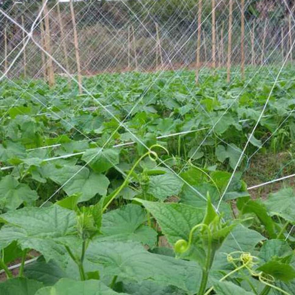 Heavy Duty Garden Trellis Netting Plant Support Garden Fence Mesh Net 5ftx15ft