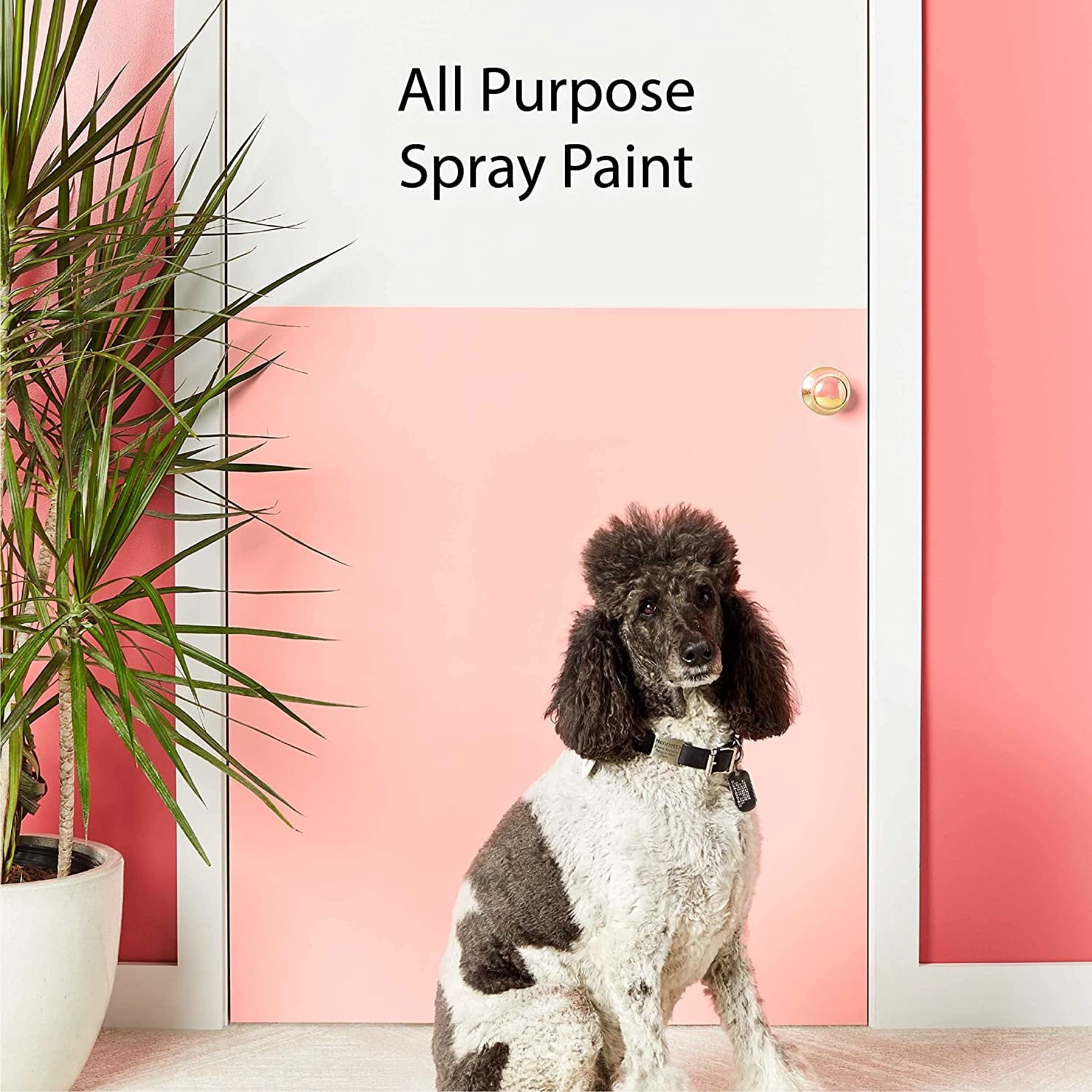 Krylon K02734007 Fusion All-In-One Spray Paint for Indoor/Outdoor Use, Satin Bright White, 12 Ounce Pack of 1