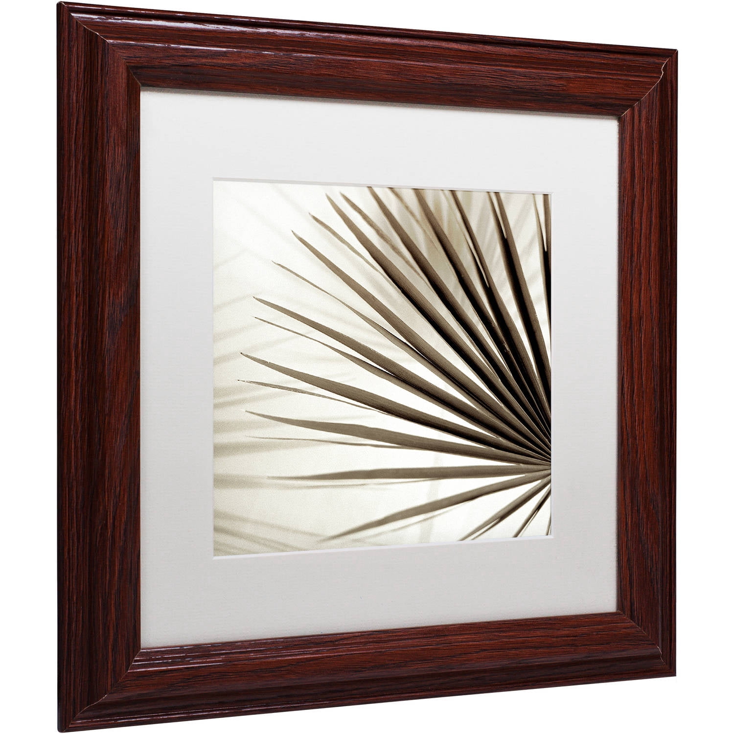 Trademark Fine Art "Florison 66" Canvas Art by Alan Blaustein, White Matte, Wood Frame