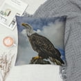 thumbnail image 2 of Orinice Bald Eagle Graphic Decorative Cushion Throw Pillow Cover for Home Couch Living Room Sofa, Printed on Both Sides, Short Plush Material, 1PC 24x24in, 2 of 5