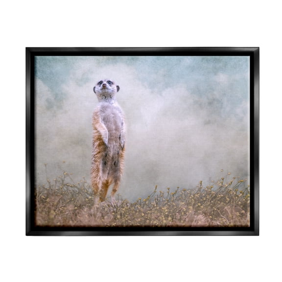 Stupell Meerkat Watching Prairie Nature Animals & Insects Photography Black Floater Framed Art Print Wall Art
