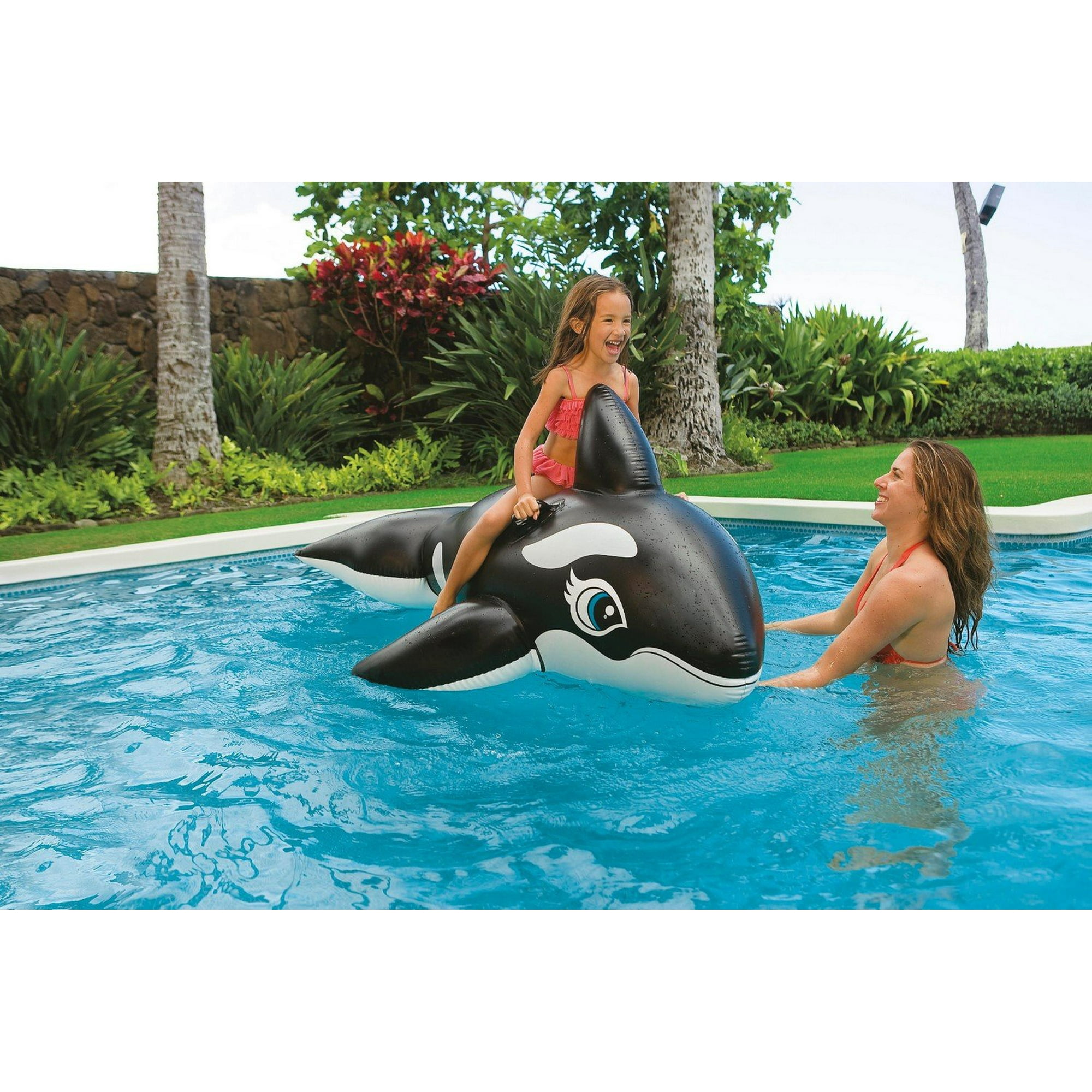 Intex Whale Spray Pool Intex Pop Up Pool Intex Whale Ride-On For