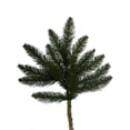 thumbnail image 1 of Vickerman A861003 Camdon Fir Spray - 21 in., 1 of 2