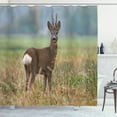 thumbnail image 1 of Ambesonne Hunting Shower Curtain, Deer Wildlife, 69"Wx70"L, Multicolor, 1 of 3