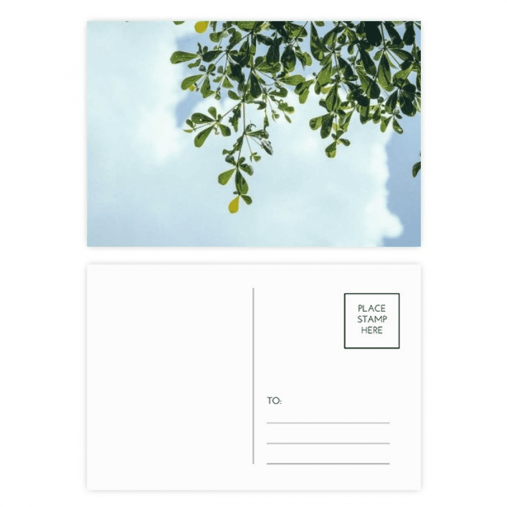 green blue sky postcard set birthday mailing thanks greeting card