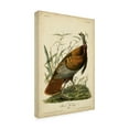 thumbnail image 3 of Trademark Fine Art John James Audubon Audubon Wild Turkey Canvas Wall Art - 16x24, 3 of 5