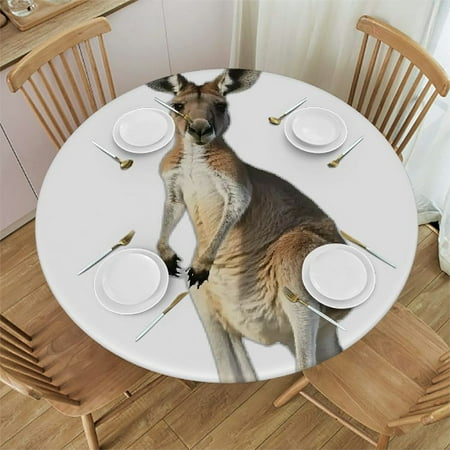 

Autua Kangaroo Round Tablecloth Stain-Resistant Washable for Indoor and Outdoor Dining Events Ideal for Restaurants Weddings Parties Picnics Camping Kitchen Farmhouse Decor 31 -35