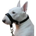 thumbnail image 4 of Dogs My Love, Dog Head Collar Halter Black 6 Sizes (M: 8.25"-10.25" Snout), 4 of 4