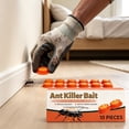 thumbnail image 4 of Ant Traps Indoor & Outdoor Gel Station Insect Control System – Long Lasting Pest Management Solution (1PC), 4 of 8