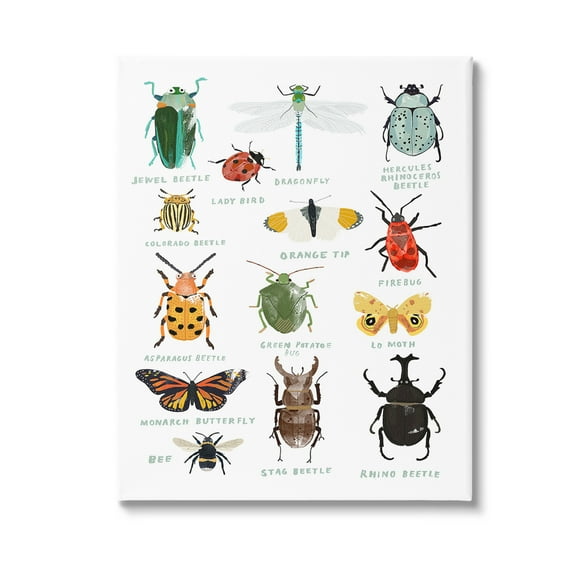 Stupell Industries Educational Bug Types Animals & Insects Painting Gallery Wrapped Canvas Art Print Wall Art, 16 x 20