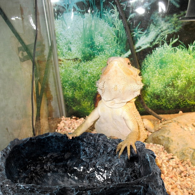 unbranded 2Ud Contenedores Para Reptiles Con Superficie Imitación Roca En Resin Negro Para Mascotas