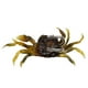 thumbnail image 5 of 10 Piezas de Cebos de Cangrejo Artificiales, SeñUelos de Cangrejo de SimulacióN 3D con Anzuelos Afilados, Trampas de Cebo de Cangrejo para Pesca en el Mar, Accesorios de Pesca, 5 of 5